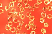 FK-600 cubo-octahedral crystals